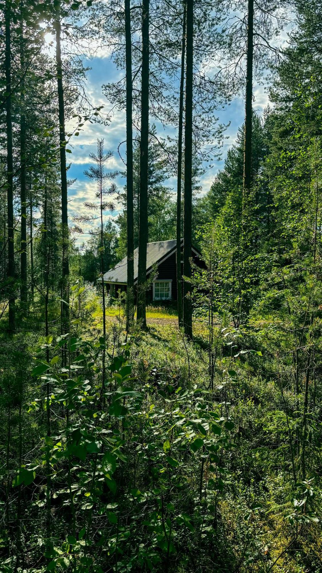 Sky Lodging ~ Sleeping Under The Stars Rovaniemi Exteriér fotografie