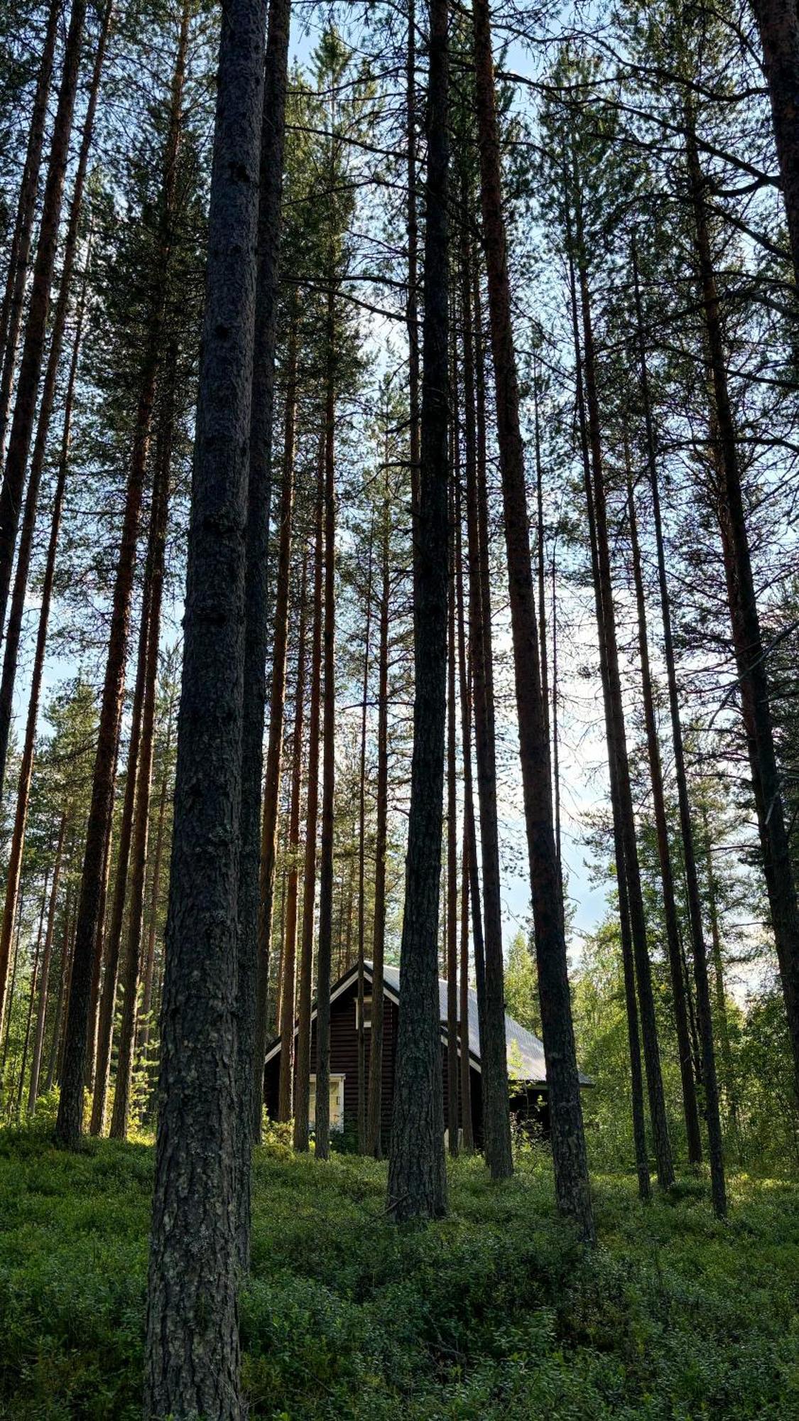 Sky Lodging ~ Sleeping Under The Stars Rovaniemi Exteriér fotografie