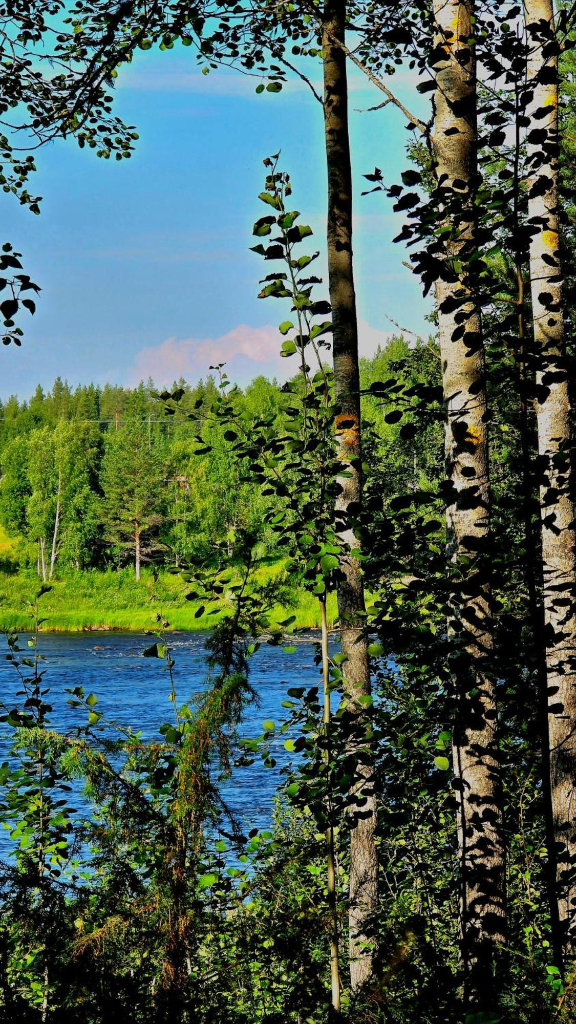 Sky Lodging ~ Sleeping Under The Stars Rovaniemi Exteriér fotografie