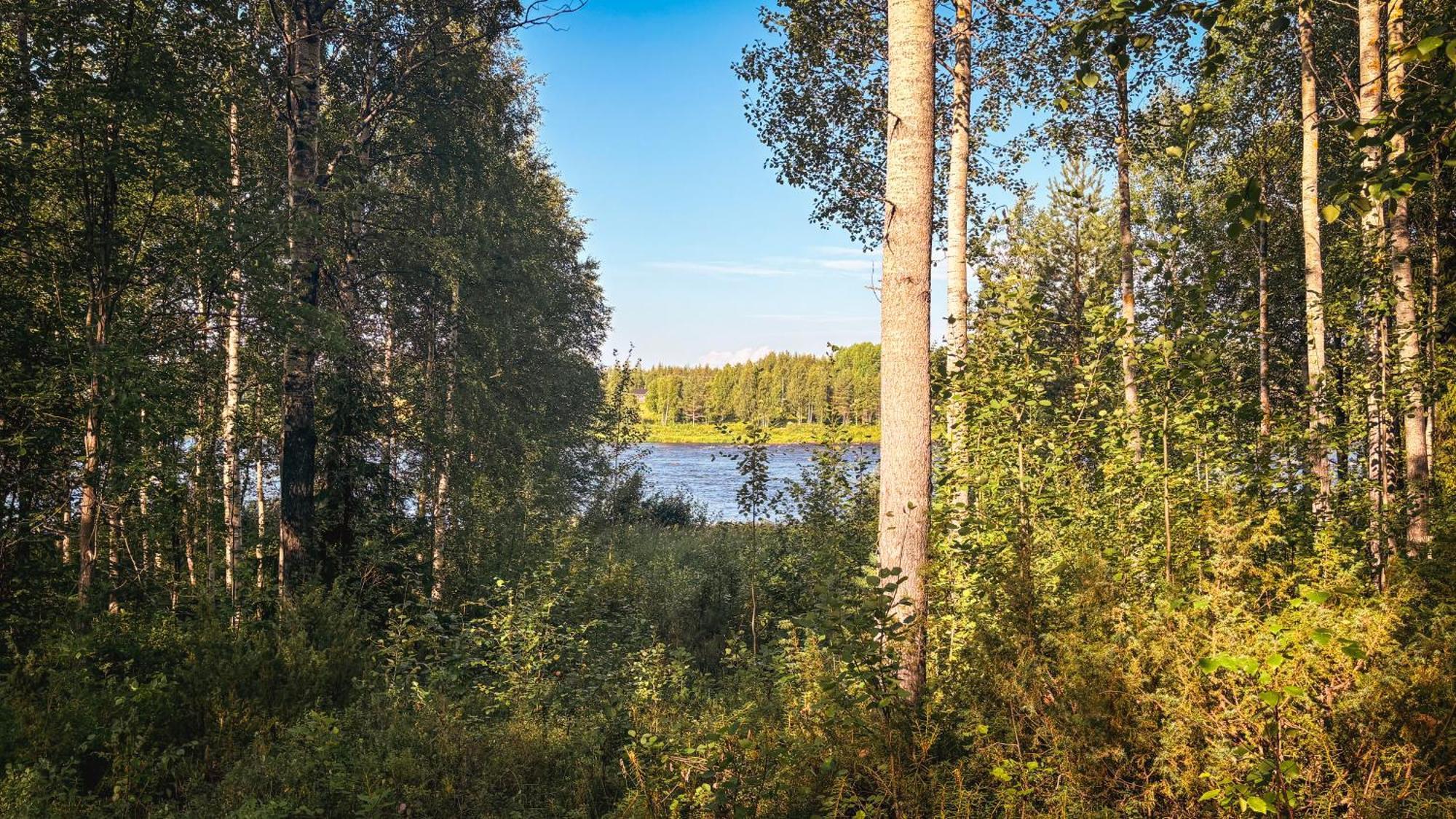 Sky Lodging ~ Sleeping Under The Stars Rovaniemi Exteriér fotografie