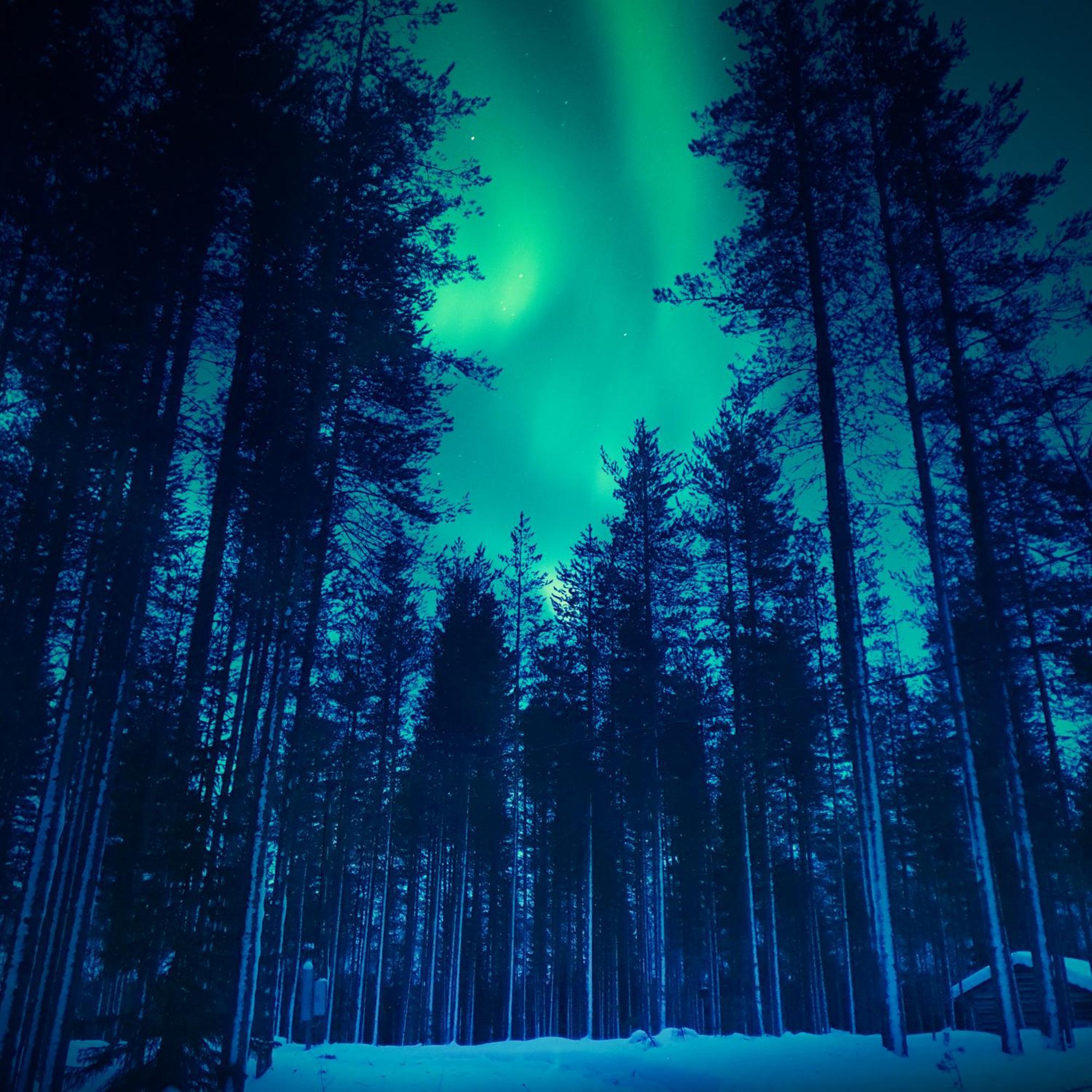 Sky Lodging ~ Sleeping Under The Stars Rovaniemi Exteriér fotografie